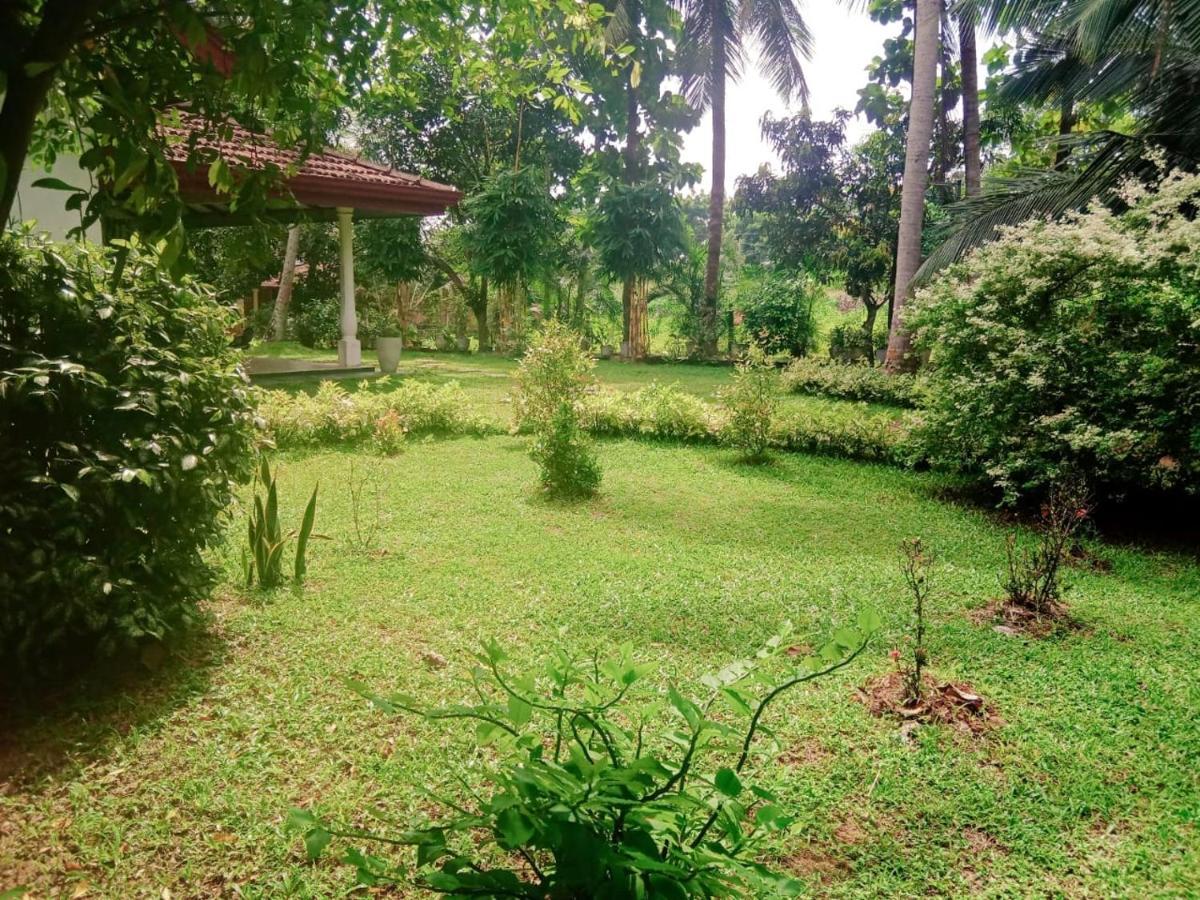 Bethany Homestay Katunayaka Exterior foto